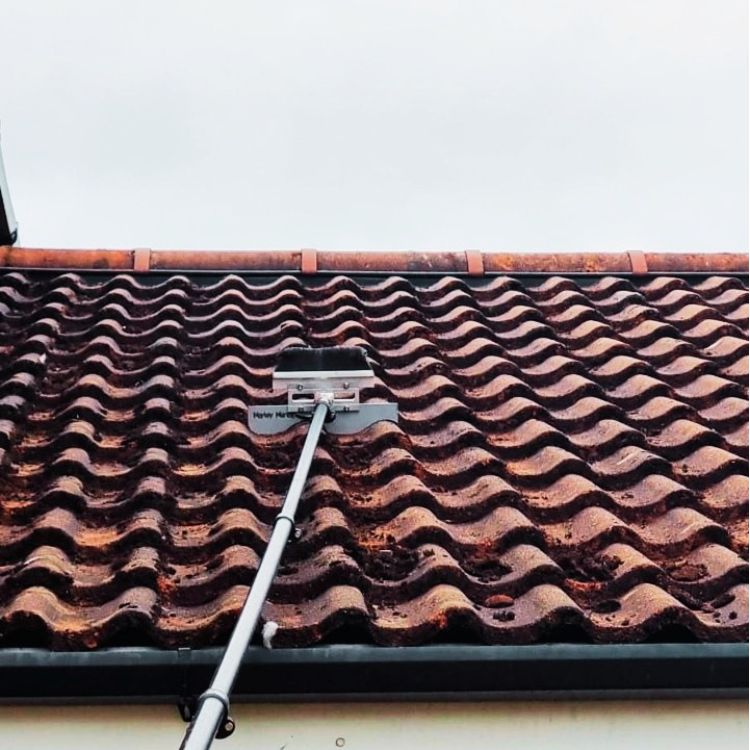 Roof Cleaning Homepage warm